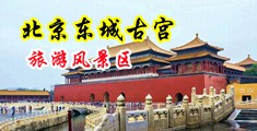 大吊操插视频舒服的水多中国北京-东城古宫旅游风景区